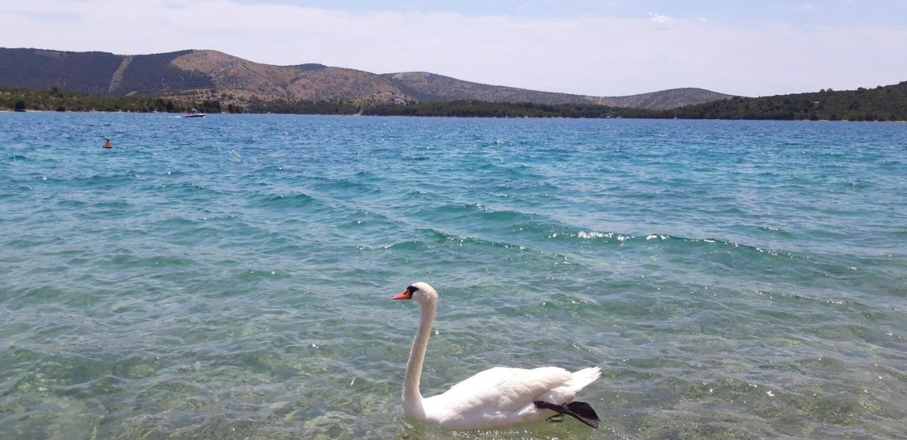 Holiday Home Oleander Zaboric Bagian luar foto